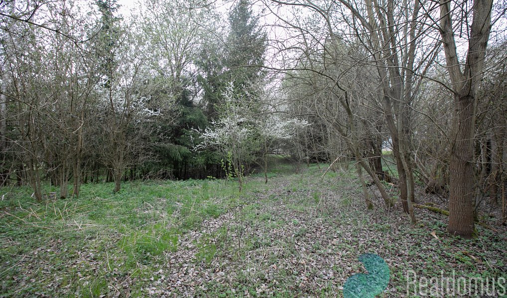 Prodej zemědělského objektu 502 m², Bečice – náhled fotky 21