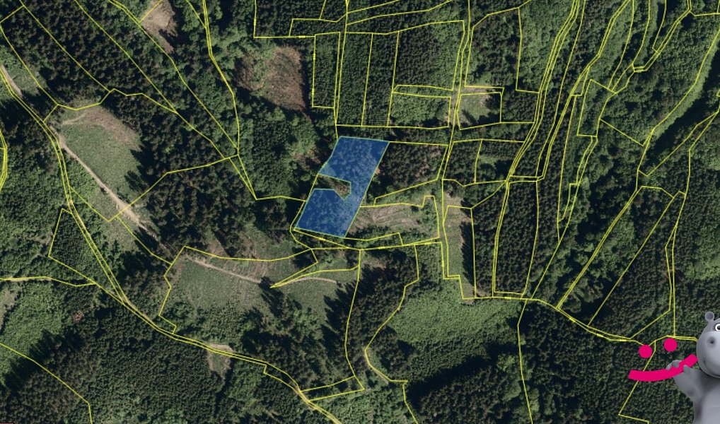 Prodej lesa 5 887 m², Janová – náhled fotky 3
