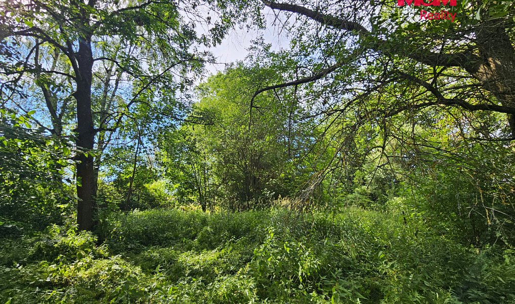 Prodej stavebního pozemku 18 630 m², Toužim – náhled fotky 13