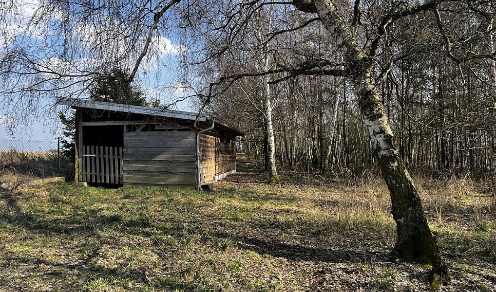 Prodej domu 100 m² s pozemkem 4 357 m², Snědovice – náhled fotky 19