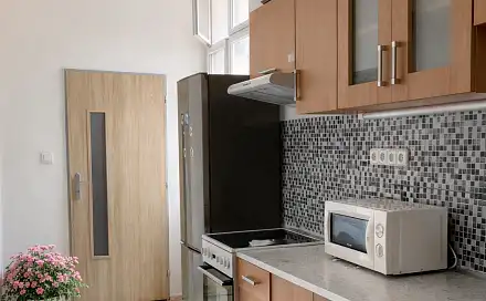 Pronájem bytu 3+1 70 m², Švédská, Olomouc