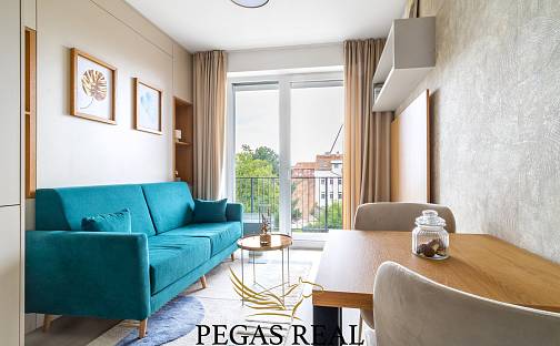 Pronájem bytu 1+kk 20 m², Dornych, Brno - Komárov