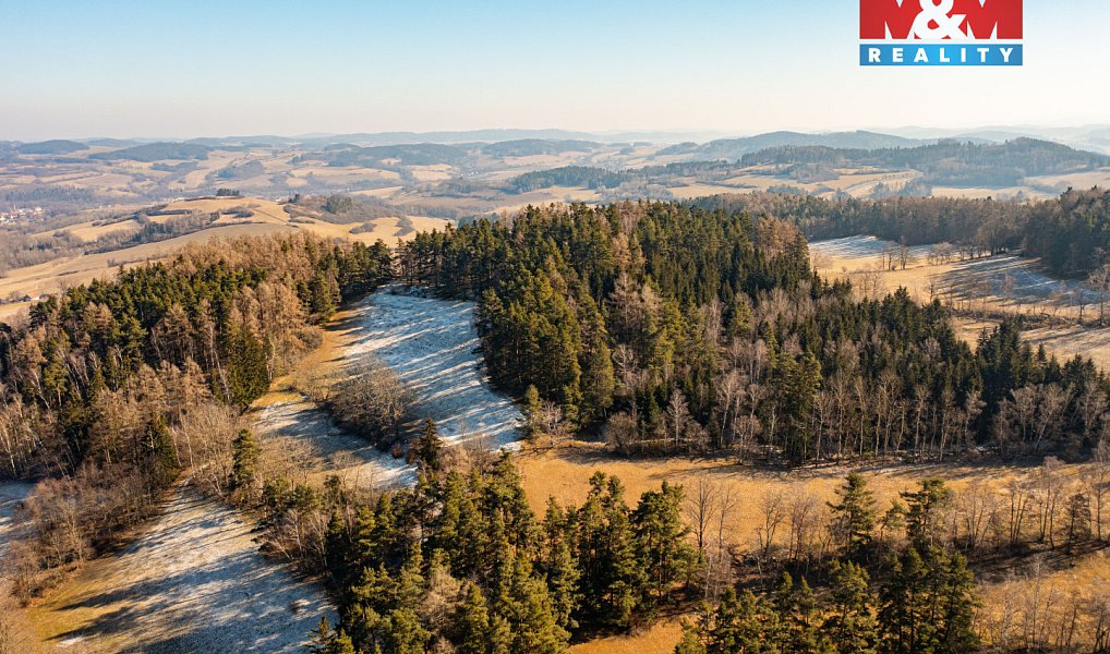 Prodej lesa 14 147 m², Nišovice – náhled fotky 3