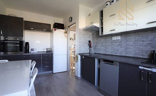 Prodej bytu 3+1 64 m², Žatec - Radíčeves, okres Louny