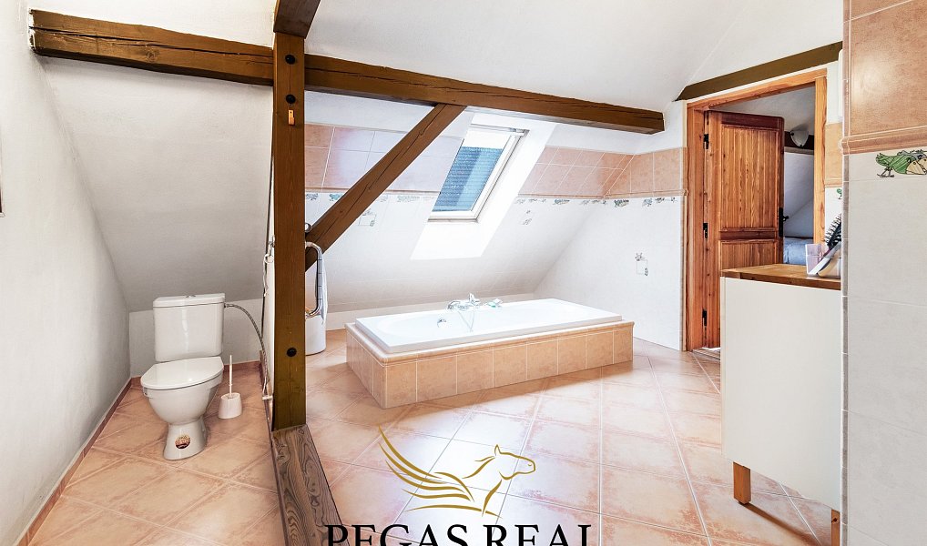 Prodej domu 350 m² s pozemkem 1 993 m², Ruda – náhled fotky 15
