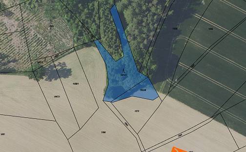Prodej lesa 975 m², Soutice, okres Benešov