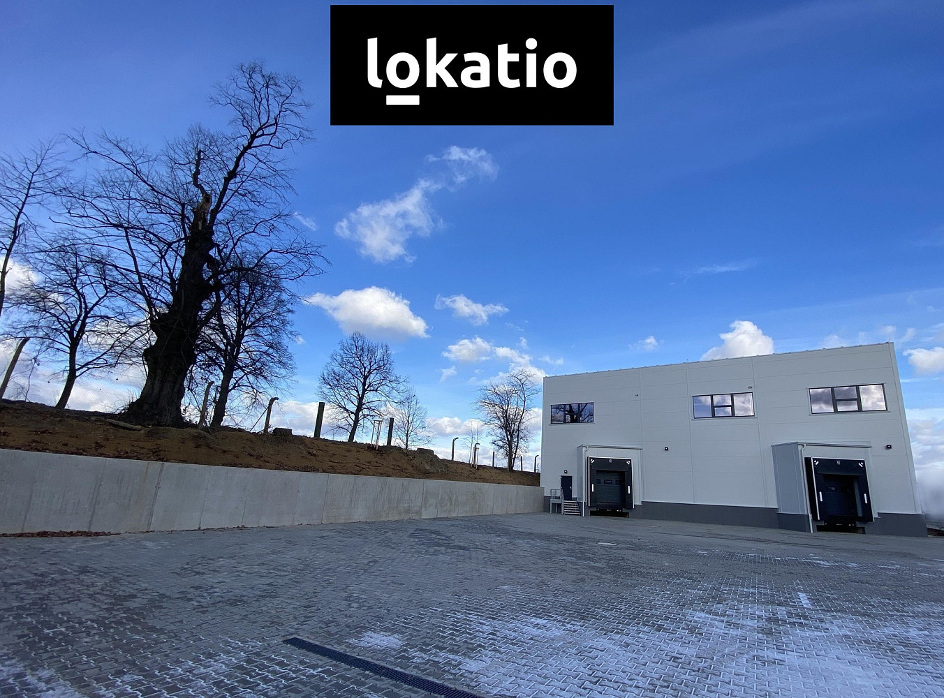 Pronájem skladovacích prostor 2 928 m² – fotografie 5