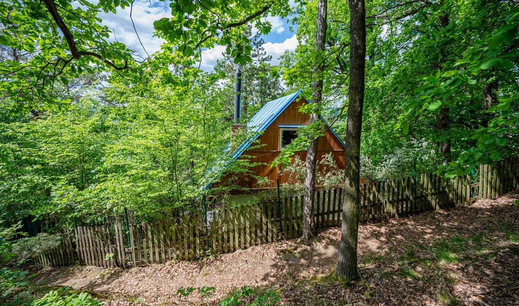 Prodej chaty/chalupy 33 m² s pozemkem 33 m², Dobřichovice – náhled fotky 22
