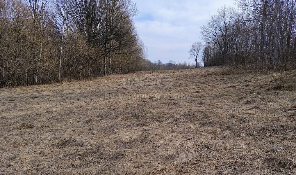 Prodej stavebního pozemku 1 920 m², Dolní Moravice – náhled fotky 2