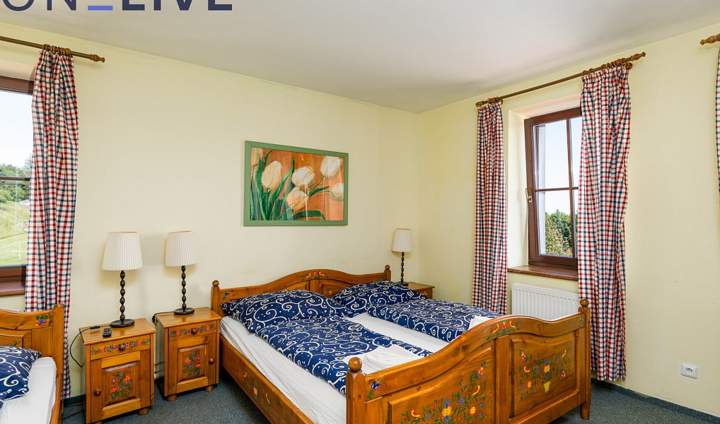 Prodej komerčního objektu (jiného typu) 450 m², Přimda – náhled fotky 4