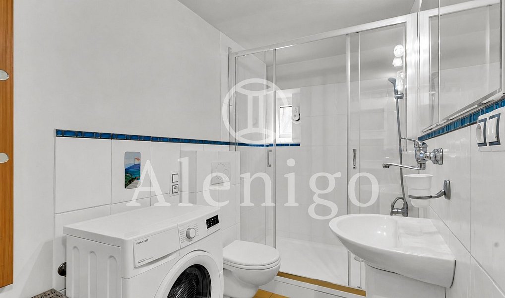 Prodej bytu 1+kk 25 m², Praha – náhled fotky 7