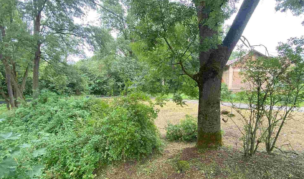 Prodej pozemku 1 993 m², Březová – náhled fotky 4