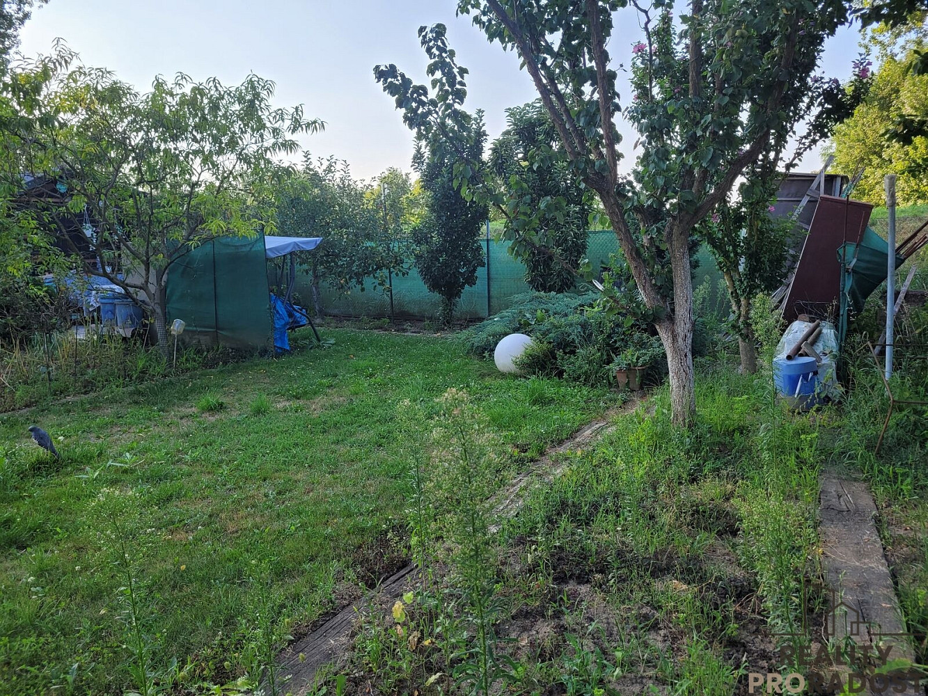 Prodej zahrady 200 m² – fotografie 2