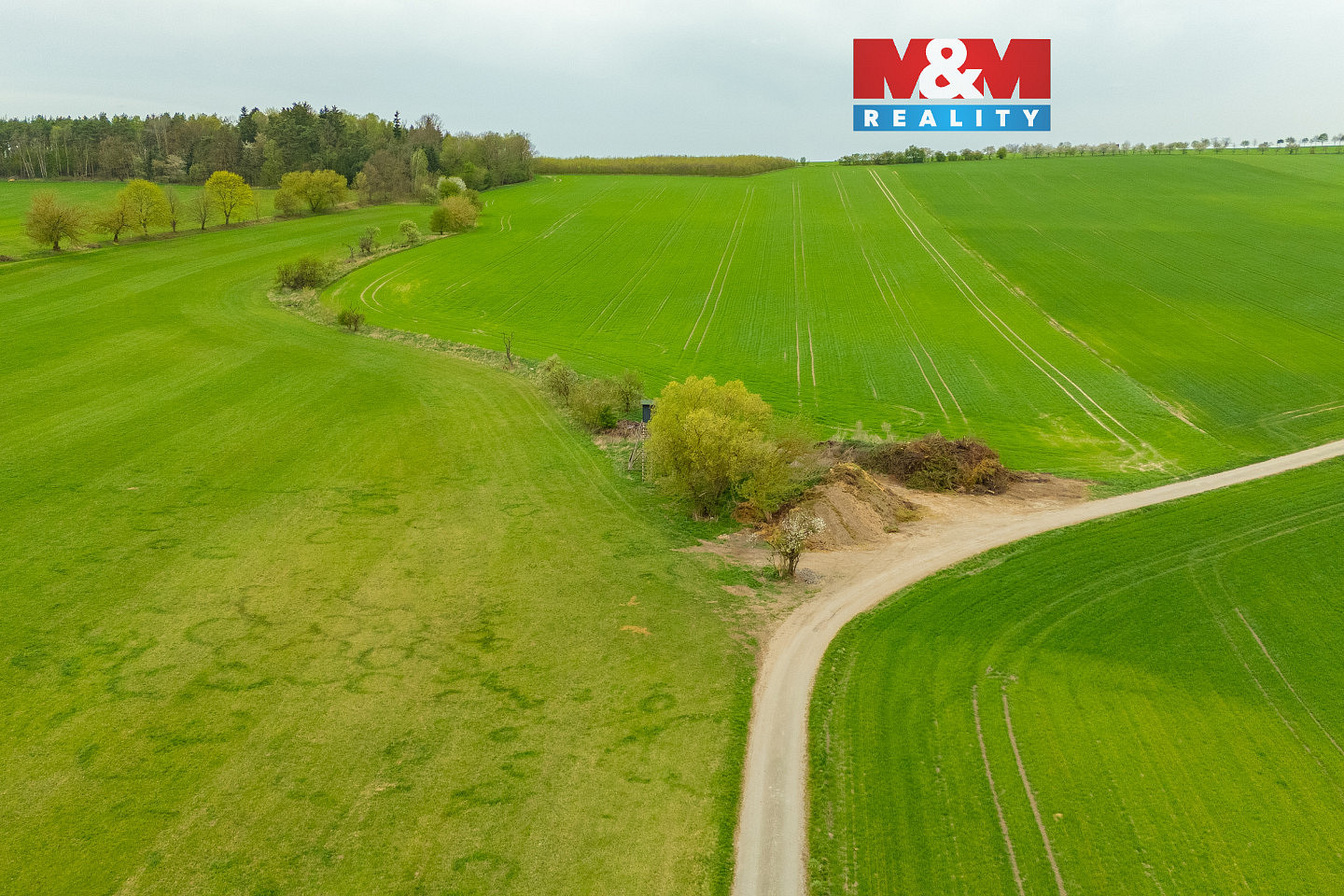 Prodej louky 730 m²