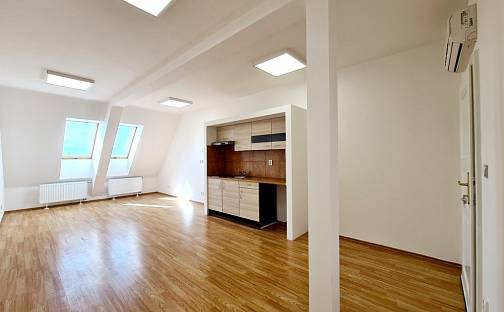 Pronájem bytu 1+kk 34 m², Masarykova, Brno
