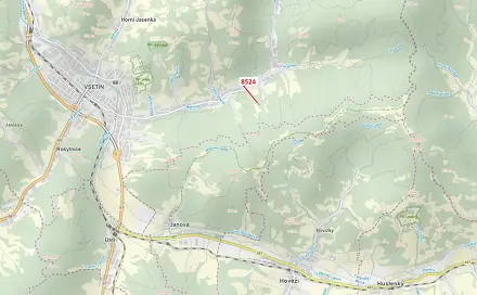 Dražba lesa 939 m², Janová