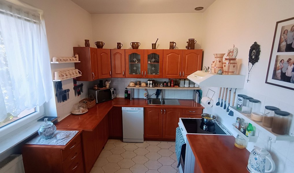 Prodej domu 268 m² s pozemkem 1 347 m², Plzeň – náhled fotky 6