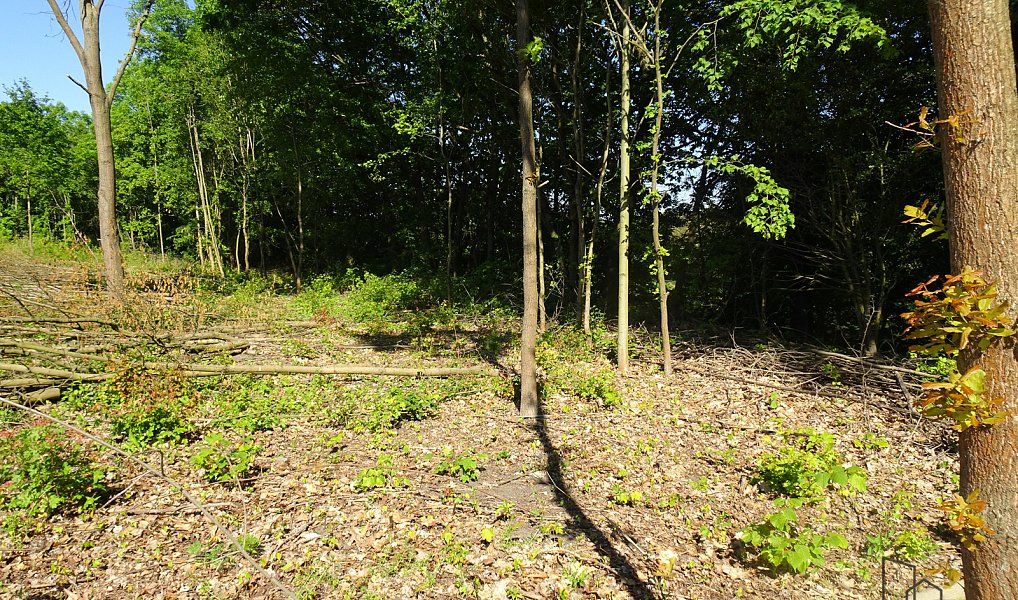 Pronájem pozemku 1 000 m², Valy – náhled fotky 5
