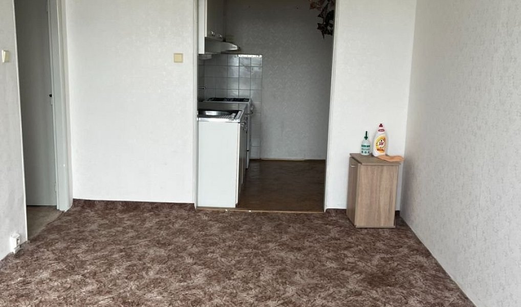 Prodej bytu 2+kk 42 m², Praha – náhled fotky 4