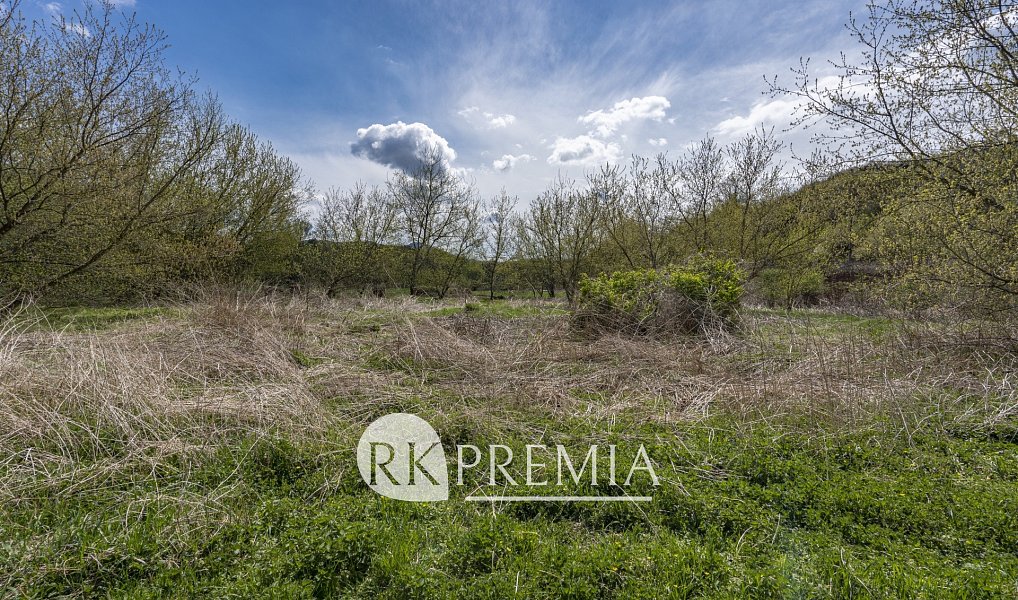 Prodej zahrady 4 353 m², Bžany – náhled fotky 2