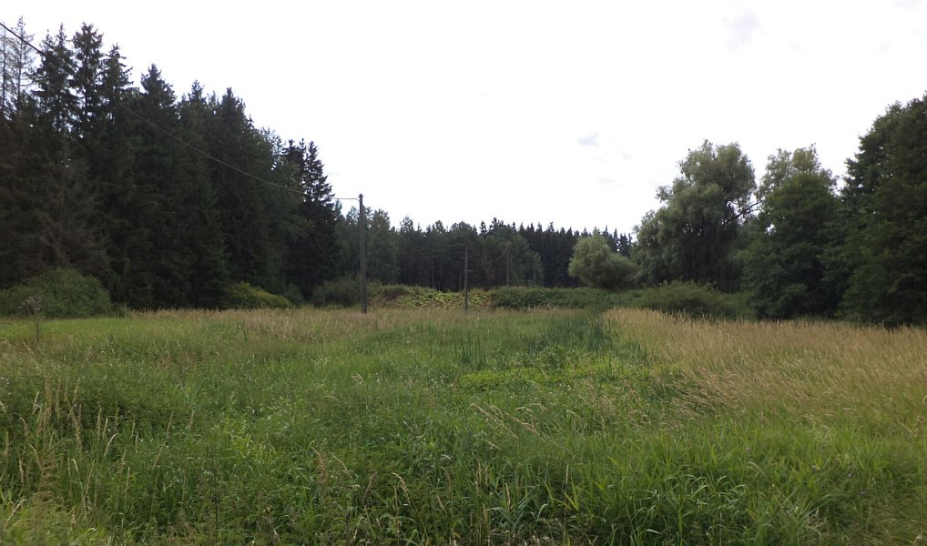 Prodej pole 13 137 m², Chodský Újezd – náhled fotky 4