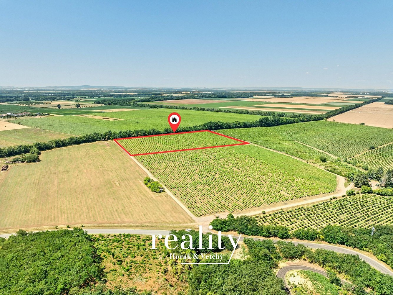 Prodej pole 33 963 m² – fotografie 3