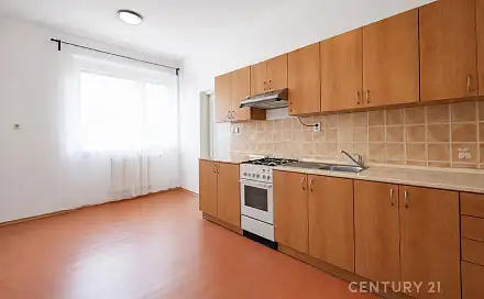Pronájem bytu 1+1 49 m², Pražská, Znojmo