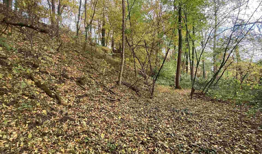 Prodej pozemku 2 639 m², Svijany – náhled fotky 3