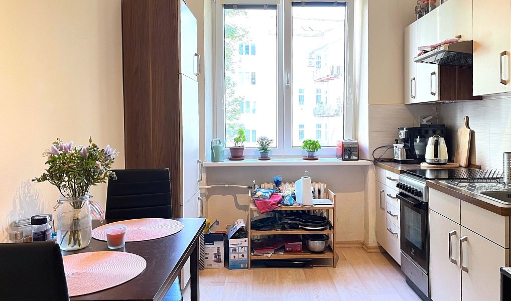 Pronájem bytu 2+1 54 m², Brno – náhled fotky 9