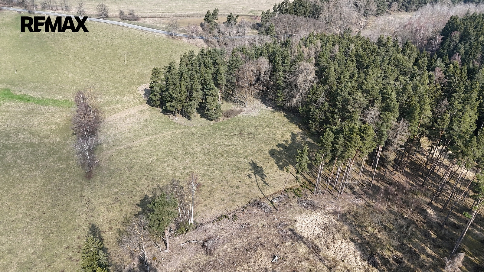 Prodej pole 19 771 m² — photo 5
