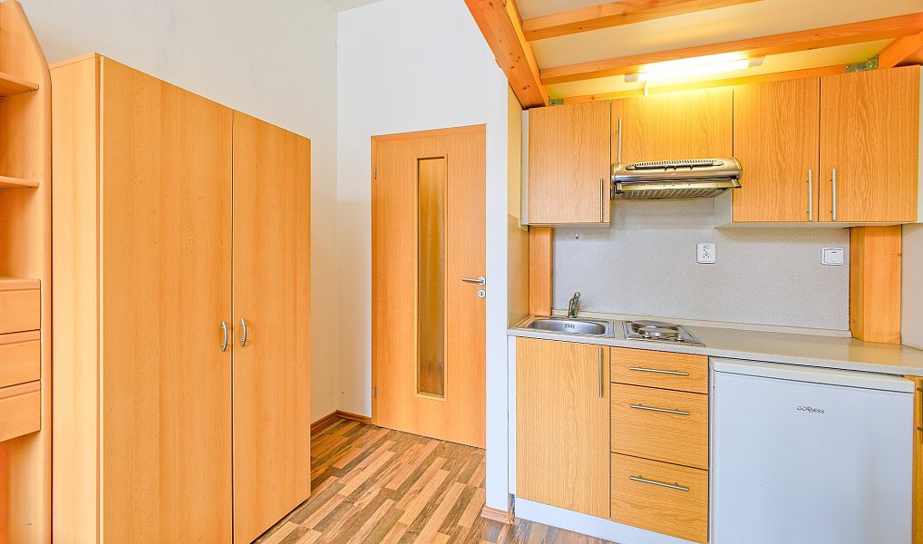 Pronájem bytu 1+kk 20 m², Brno – náhled fotky 4