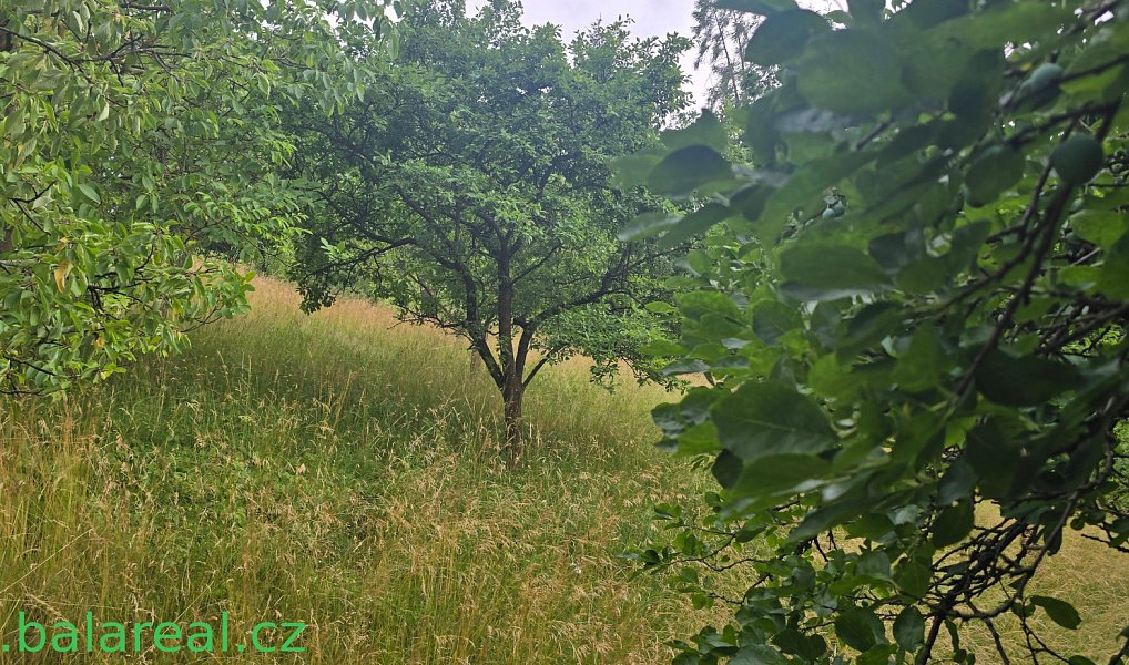 Prodej domu 93 m² s pozemkem 1 667 m², Šošůvka – náhled fotky 13