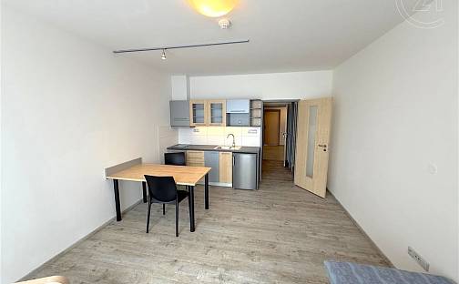 Pronájem bytu 1+kk 25 m², Sportovní, Tachlovice, okres Praha-západ