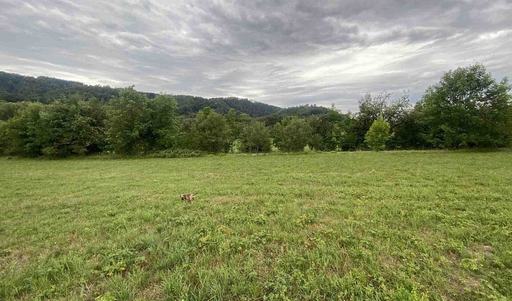 Prodej pole 950 m², Potštejn – náhled fotky 2