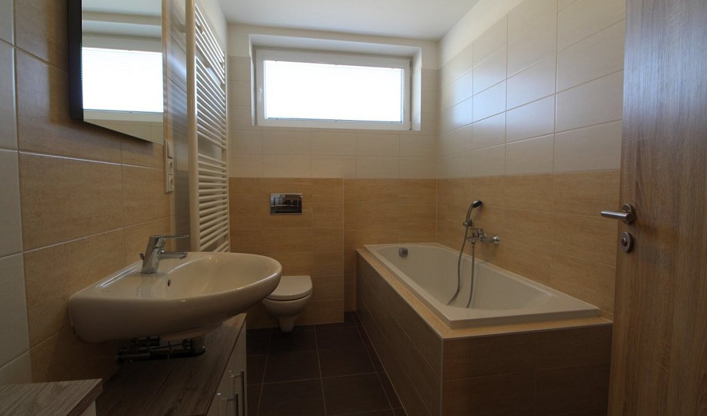 Pronájem bytu 2+kk 53 m², Plzeň – náhled fotky 8