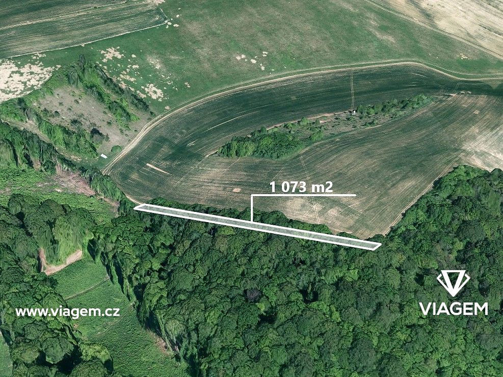 Prodej lesa 1 073 m²