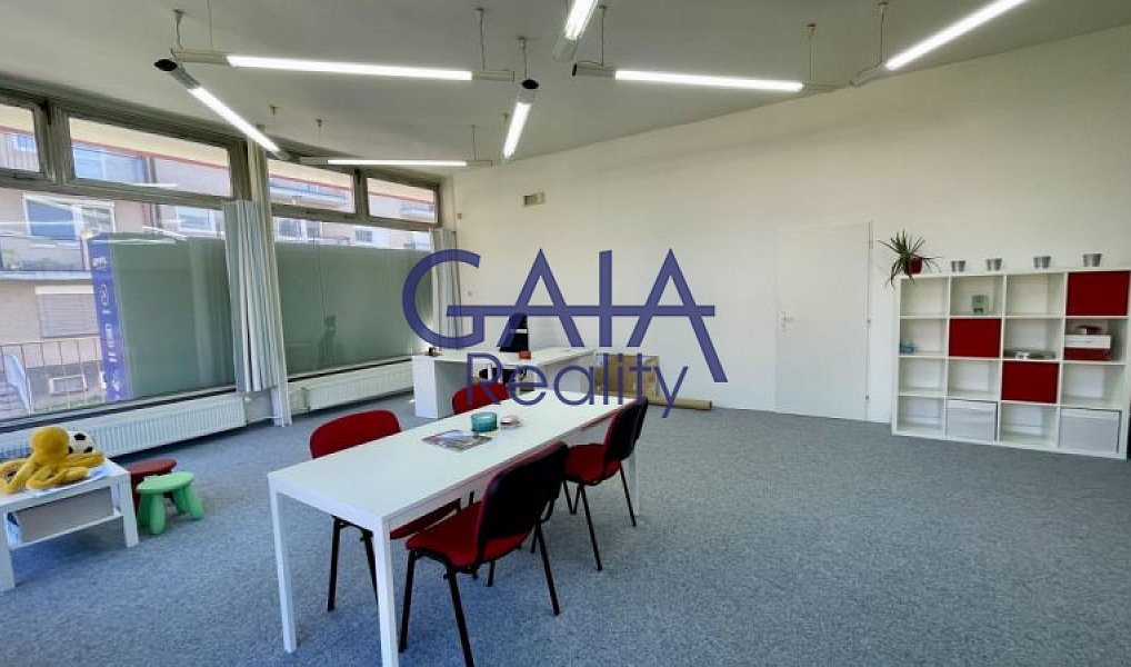Pronájem obchodních prostor 56 m², Strážnice – náhled fotky 4