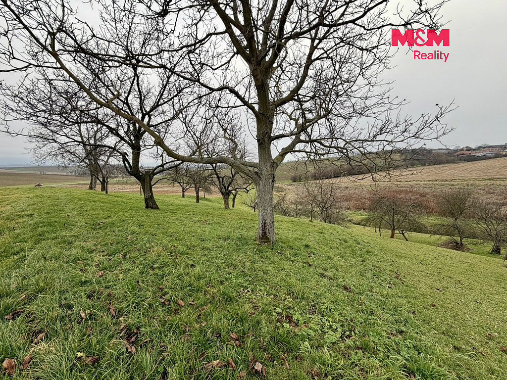 Prodej zahrady 901 m² – fotografie 4
