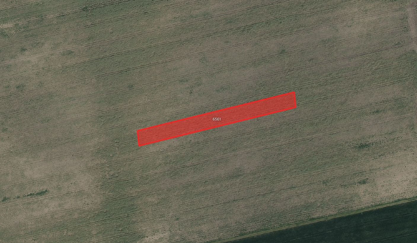 Prodej pole 13 549 m² — photo 3