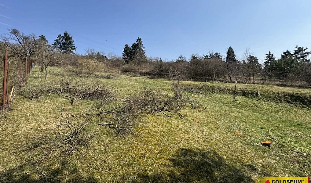 Prodej zahrady 1 750 m², Popůvky – náhled fotky 4