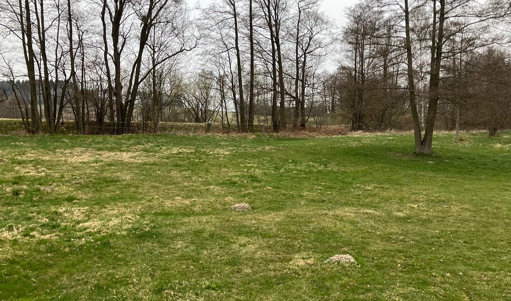 Prodej stavebního pozemku 945 m², Staré Křečany – náhled fotky 5