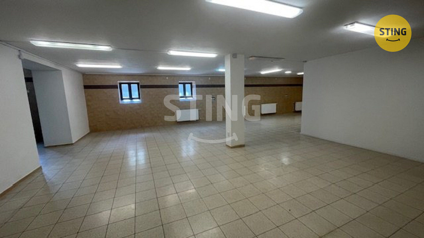 Pronájem skladovacích prostor 230 m² – fotografie 4
