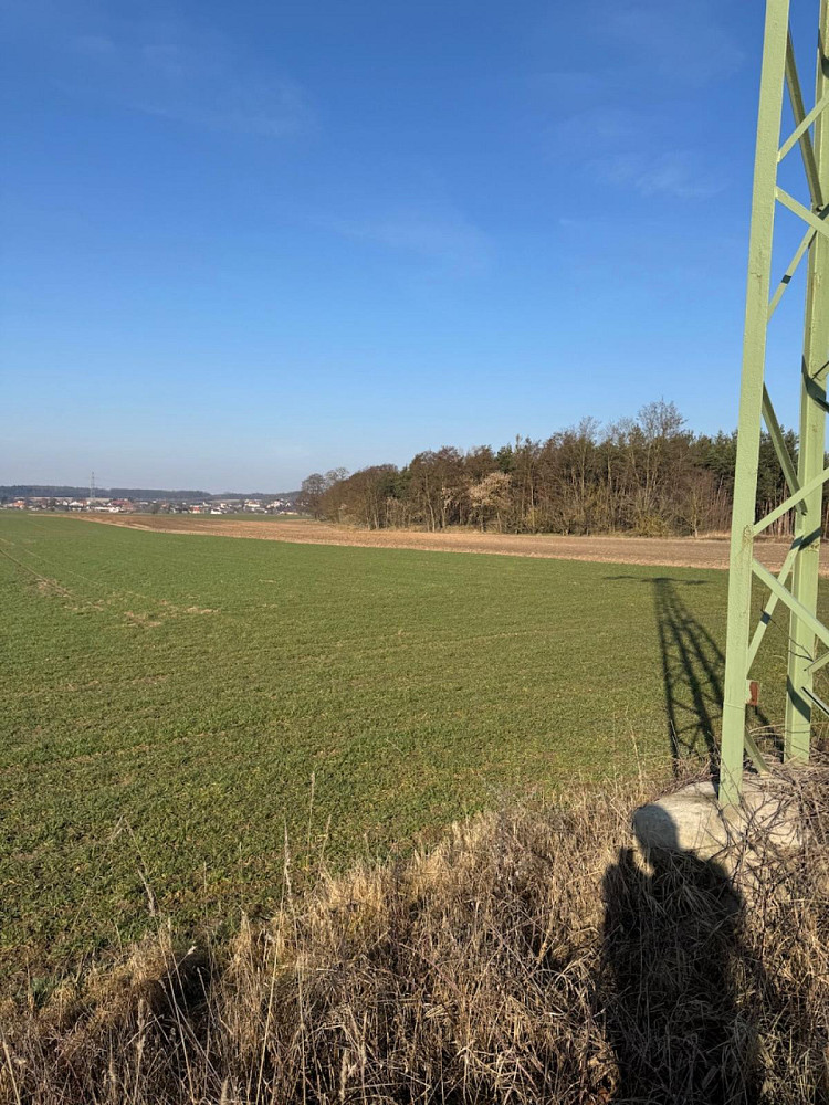Prodej lesa 6 719 m²