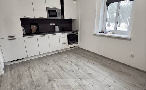 Pronájem bytu 1+1 45 m², Pražská, Mělník