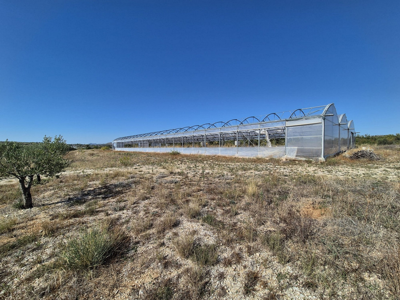 Prodej pole 14 000 m²