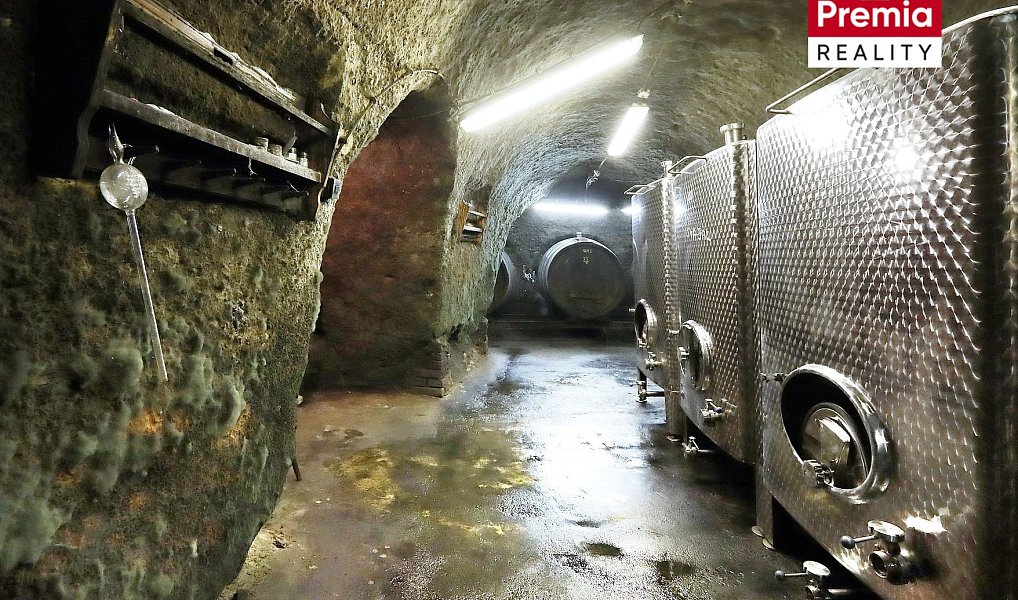 Prodej výrobních prostor 1 500 m², Nový Šaldorf-Sedlešovice – náhled fotky 6