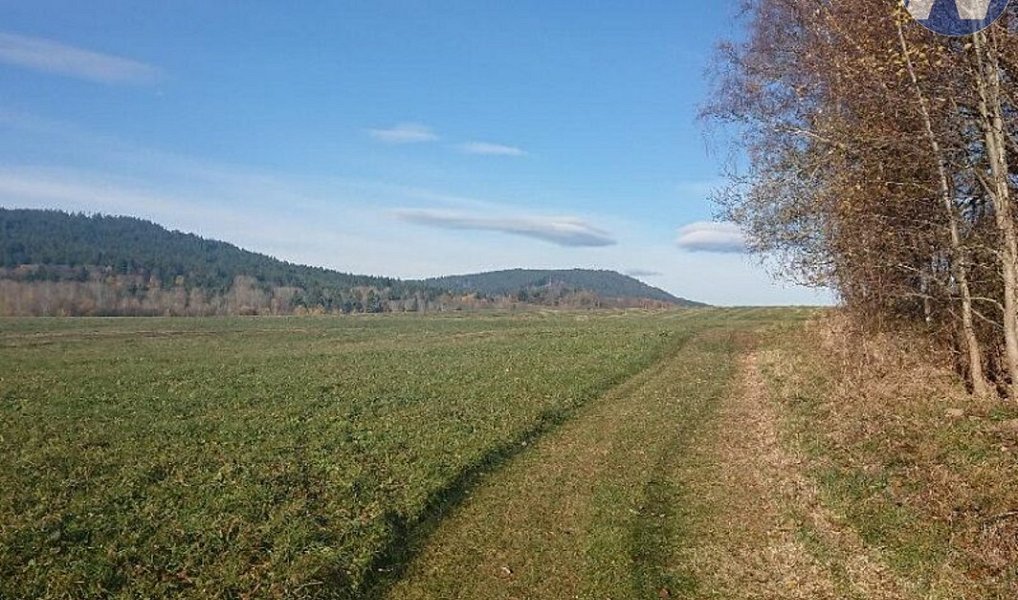 Prodej pozemku 7 073 m², Chroboly – náhled fotky 7