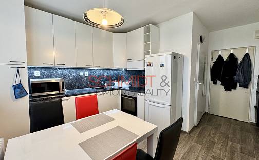 Pronájem bytu 1+1 35 m², Školní, Hustopeče, okres Břeclav