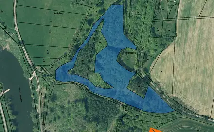 Prodej lesa 5 528 m², Břasy, okres Rokycany