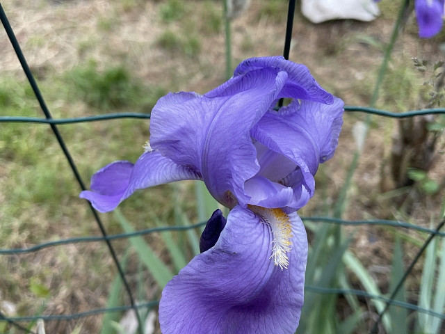 Fotka 14 z 15